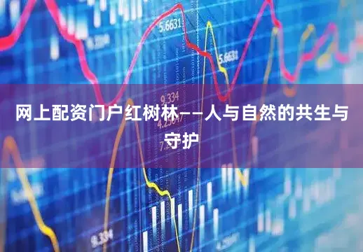 网上配资门户红树林——人与自然的共生与守护