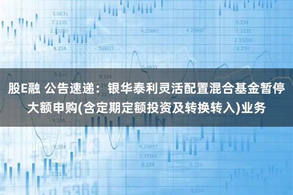 股E融 公告速递：银华泰利灵活配置混合基金暂停大额申购(含定期定额投资及转换转入)业务