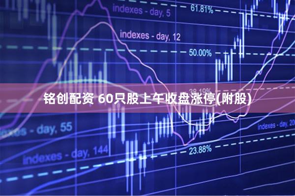 铭创配资 60只股上午收盘涨停(附股)